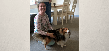Alfie the therapy dog