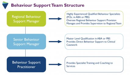 behaviour support team structure